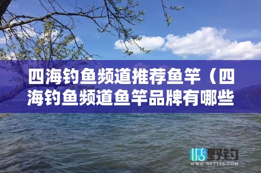 四海钓鱼频道推荐鱼竿（四海钓鱼频道鱼竿品牌有哪些）