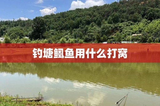 钓塘鲺鱼用什么打窝