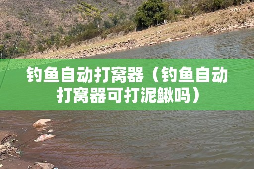 钓鱼自动打窝器（钓鱼自动打窝器可打泥鳅吗）
