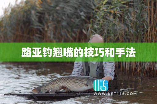 路亚钓翘嘴的技巧和手法