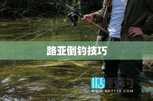 路亚倒钓技巧