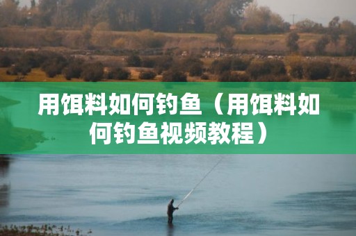 用饵料如何钓鱼（用饵料如何钓鱼视频教程）
