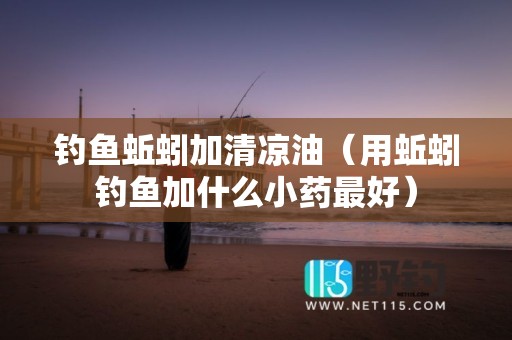 钓鱼蚯蚓加清凉油（用蚯蚓钓鱼加什么小药最好）