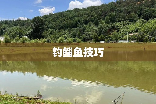 钓鲻鱼技巧