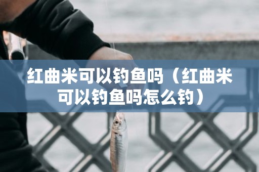 红曲米可以钓鱼吗（红曲米可以钓鱼吗怎么钓）