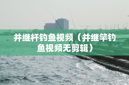 并继杆钓鱼视频（并继竿钓鱼视频无剪辑）