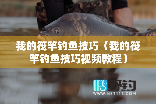 我的筏竿钓鱼技巧（我的筏竿钓鱼技巧视频教程）
