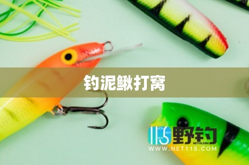 钓泥鳅打窝