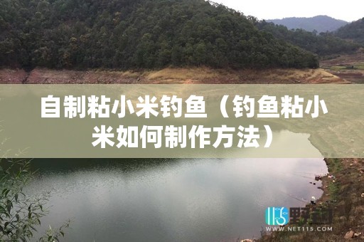 自制粘小米钓鱼（钓鱼粘小米如何制作方法）