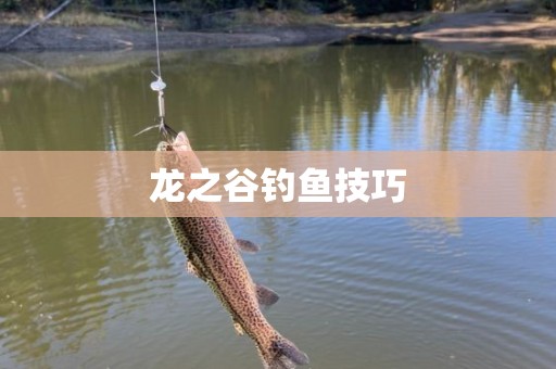 龙之谷钓鱼技巧