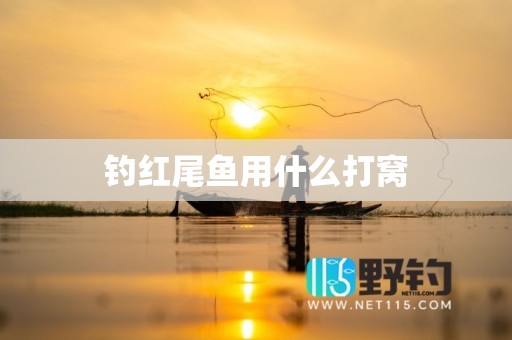 钓红尾鱼用什么打窝