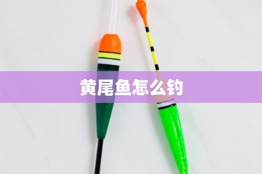 黄尾鱼怎么钓