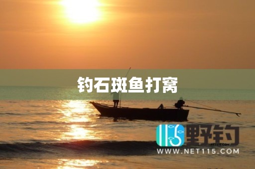 钓石斑鱼打窝