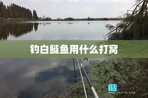 钓白鲢鱼用什么打窝