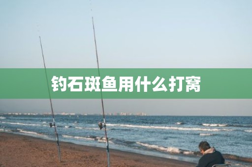 钓石斑鱼用什么打窝
