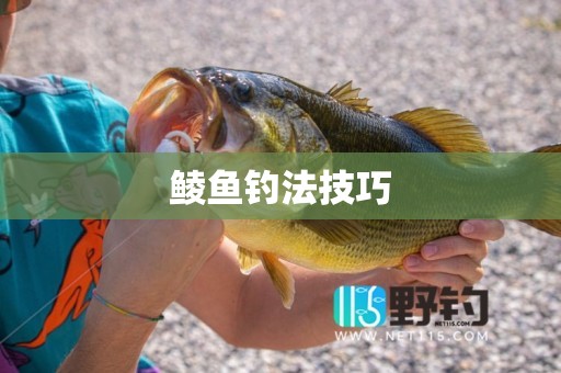 鲮鱼钓法技巧