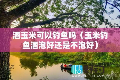 酒玉米可以钓鱼吗（玉米钓鱼酒泡好还是不泡好）