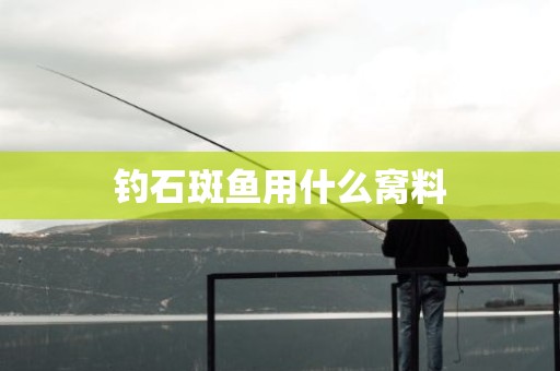 钓石斑鱼用什么窝料