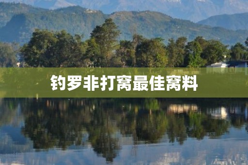 钓罗非打窝最佳窝料