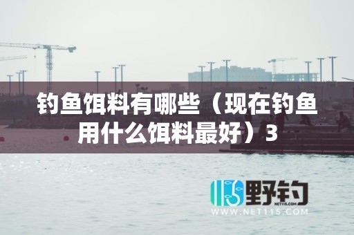 钓鱼饵料有哪些（现在钓鱼用什么饵料最好）3