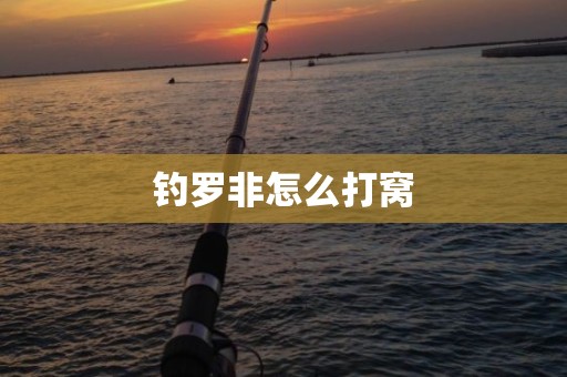钓罗非怎么打窝