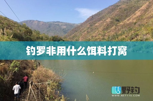 钓罗非用什么饵料打窝