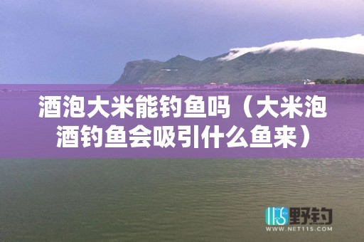 酒泡大米能钓鱼吗（大米泡酒钓鱼会吸引什么鱼来）