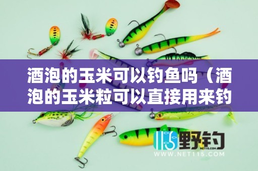 酒泡的玉米可以钓鱼吗（酒泡的玉米粒可以直接用来钓鱼吗-）