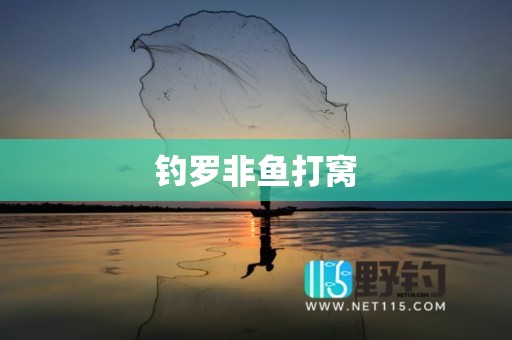 钓罗非鱼打窝