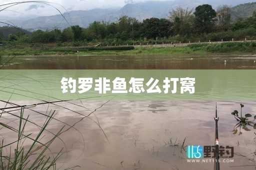 钓罗非鱼怎么打窝