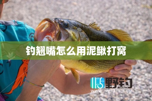 钓翘嘴怎么用泥鳅打窝