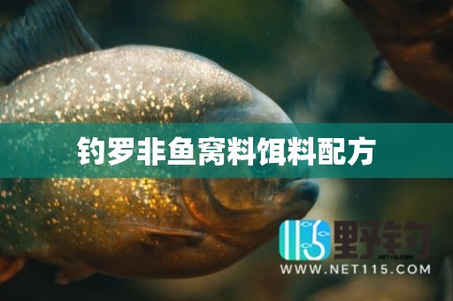 钓罗非鱼窝料饵料配方