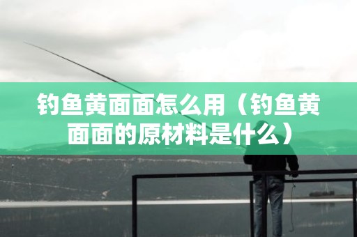 钓鱼黄面面怎么用（钓鱼黄面面的原材料是什么）