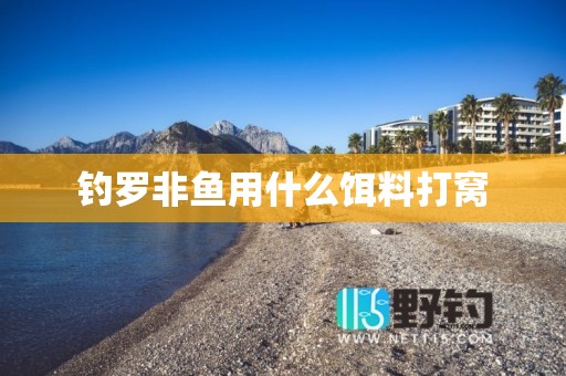 钓罗非鱼用什么饵料打窝