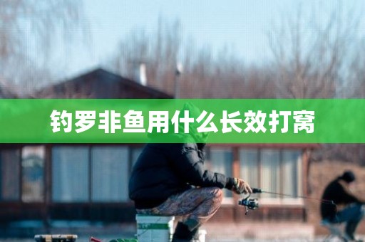 钓罗非鱼用什么长效打窝