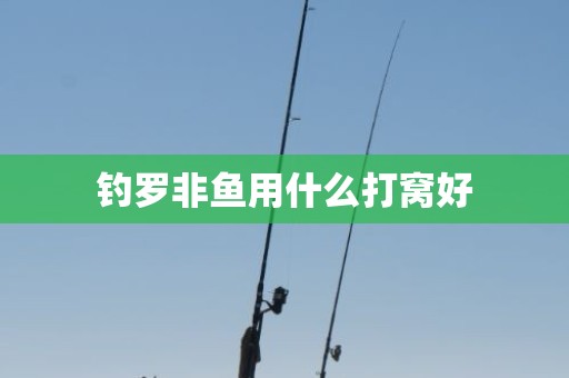 钓罗非鱼用什么打窝好