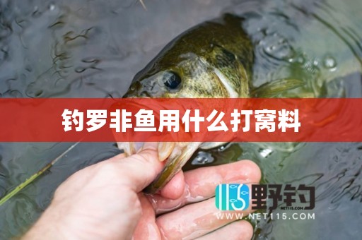 钓罗非鱼用什么打窝料