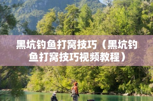 黑坑钓鱼打窝技巧（黑坑钓鱼打窝技巧视频教程）