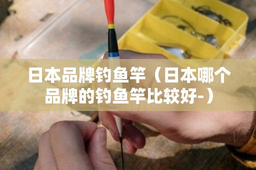 日本品牌钓鱼竿（日本哪个品牌的钓鱼竿比较好-）