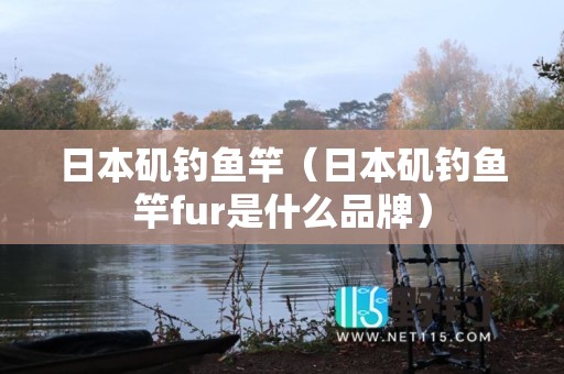 日本矶钓鱼竿（日本矶钓鱼竿fur是什么品牌）