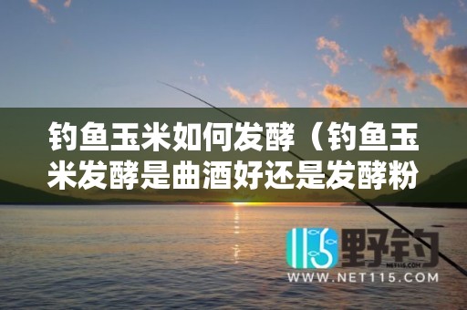 钓鱼玉米如何发酵（钓鱼玉米发酵是曲酒好还是发酵粉好）