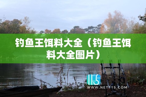 钓鱼王饵料大全（钓鱼王饵料大全图片）