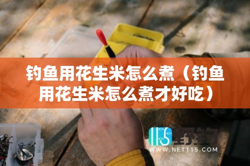钓鱼用花生米怎么煮（钓鱼用花生米怎么煮才好吃）