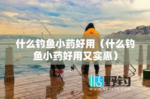 什么钓鱼小药好用（什么钓鱼小药好用又实惠）