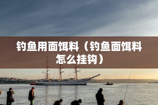 钓鱼用面饵料（钓鱼面饵料怎么挂钩）