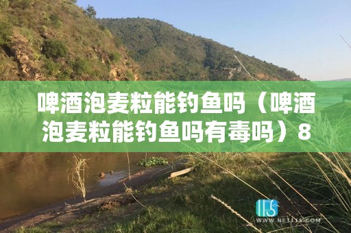 啤酒泡麦粒能钓鱼吗（啤酒泡麦粒能钓鱼吗有毒吗）8