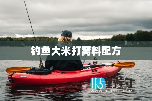 钓鱼大米打窝料配方