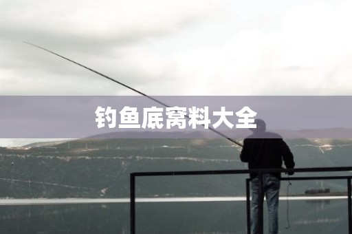 钓鱼底窝料大全