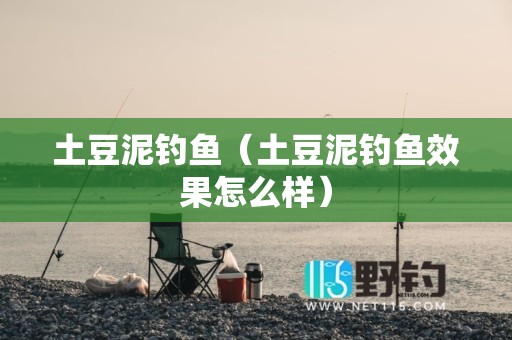 土豆泥钓鱼（土豆泥钓鱼效果怎么样）