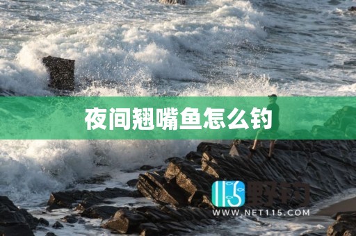 夜间翘嘴鱼怎么钓